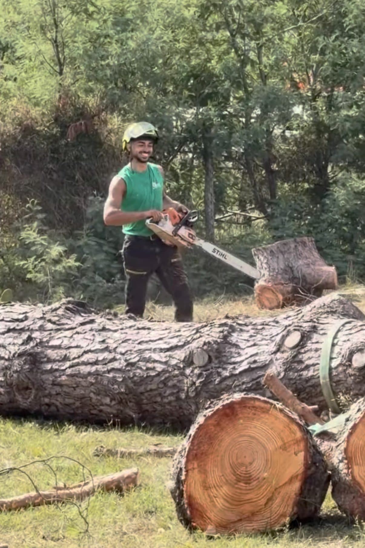 Operatore di GF Garden con casco e motosega dietro il tronco di un albero ad alto fusto appena abbattuto, già tagliato in grossi ceppi