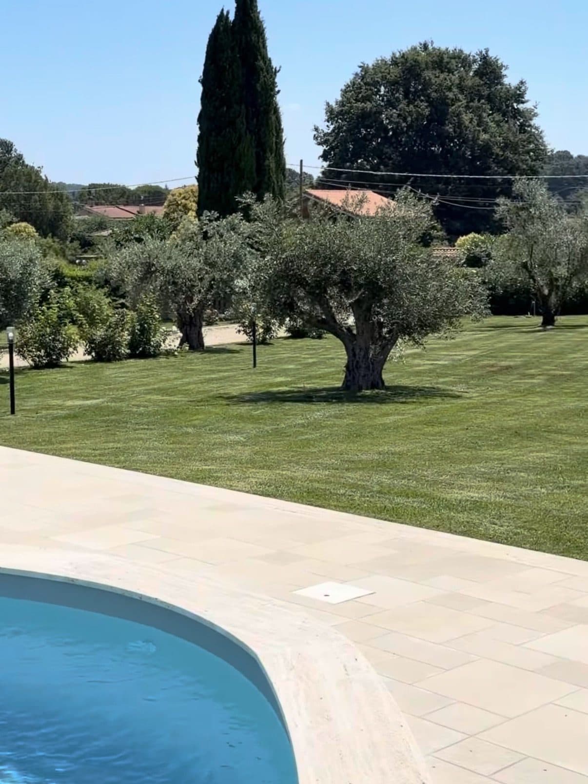 Prato rasato con ulivi e un cipresso, che arriva fino al bordo in pietra della piscina