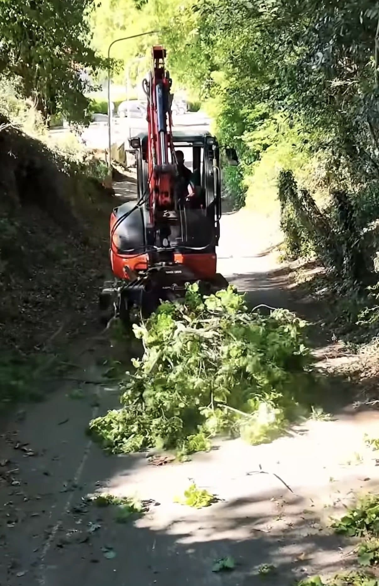 Miniescavatore che raduna la ramaglia tagliata lungo una stradina stretta fra due scarpate